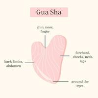 Infographic of Gua Sha Jade scraping massage tool usage. Natural pink rose quartz stone scraper. Chinese traditional facial lifting for woman. Facial acupoints. Vector flat illustration.