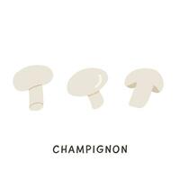 Set of whole and cut in half edible champignon mushrooms isolated on white background. Tasty fresh raw product, organic vegan food ingredient. Vector illustration in flat cartoon style.
