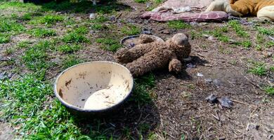 dirty toys in an abandoned city in Ukraine photo