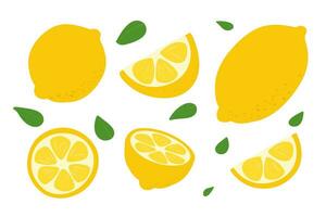 Fresh lemon fruits. Collection of lemon slices vector