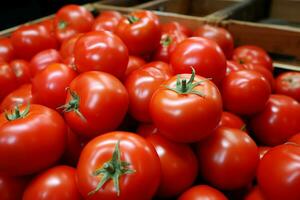 AI generated Crisp store drawer showcases an array of farmfresh, juicy tomatoes photo