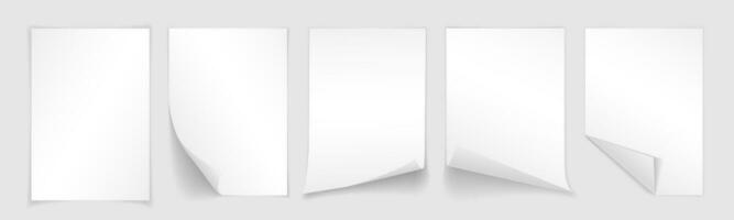 Blank A4 sheet of white paper with curled corner and shadow, template for your design. Set. Vector illustration