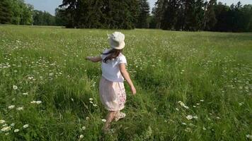 fille filage dans le milieu de une champ avec fleurs video