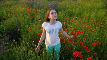 girl stands in a field with poppies and looks at the sky video