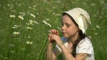 little girl smelling flowers in the field video