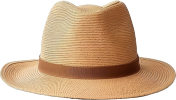 AI generated straw hat png