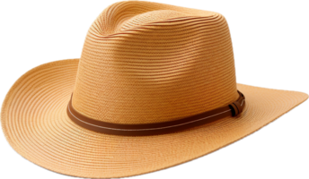 AI generated straw hat png
