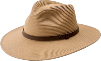 AI generated straw hat png