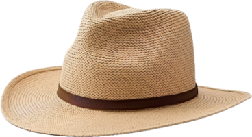 AI generated straw hat png