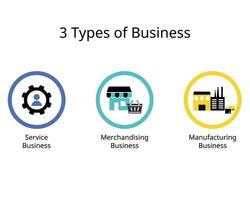 3 types of business in managerial accounting for service, merchandising and manufacturing business vector