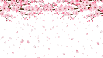 Aquarell Blumen- Rand Kranz Rahmen mit hell Pfirsich Farbe, Weiss, Rosa, lebendig Blumen, Grün Blätter, zum Hochzeit lädt ein, Tapeten, Mode, transparent Hintergrund, Textur, Verpackung. png