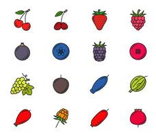 Raw berry color line icons, isolated vector set