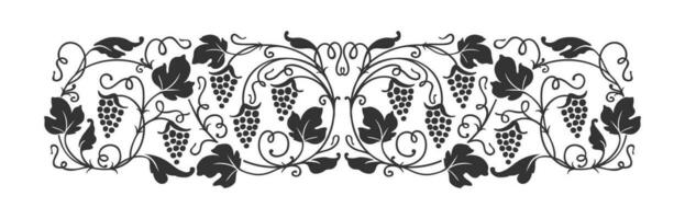 Grape vine ornament, wine border, vineyard branch vector