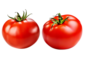 fruit tomate isolé avec coupure chemin. png