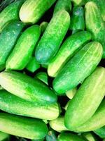 Benefits of Cucumber 1 Cholesterol Control 2 Kidney Stone Healing 3 Water Vacuity 4 Digestive Problems 5 Hormone Balance 6 Stress Reduction photo