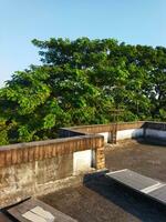 Enjoy the mesmerizing scenery in the balmy afternoons from the rooftop, photo