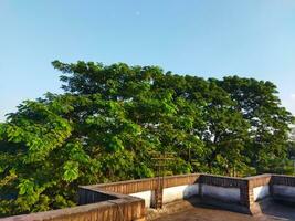 Enjoy the mesmerizing scenery in the balmy afternoons from the rooftop, photo