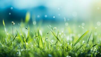 ai generado verde césped con Rocío gotas en luz de sol, superficial profundidad de campo foto