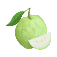 AI generated Common guava Fruit tree Mexican cuisine, png