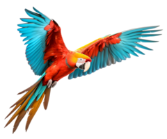 AI generated Colorful Macaw bird. ai generated. png