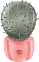 cactus png transparent background