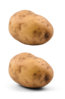 AI generated Potato, on a transparent background, digital photography png