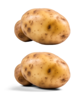 AI generated Potato, on a transparent background, digital photography png