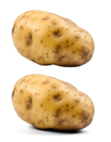AI generated Potato, on a transparent background, digital photography png