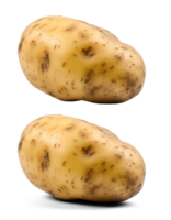 ai genererad potatis, på en transparent bakgrund, digital fotografi png