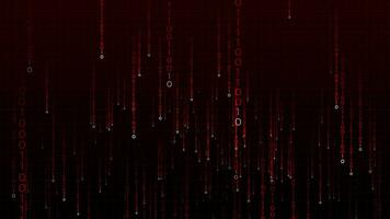 Animation of Red binary coding, Digital binary computer code video