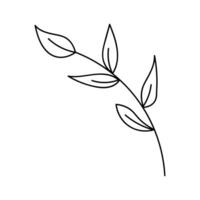 Green branch with leaves on white background. vector