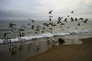 Spring on a Beach photo