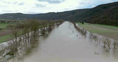 fuco video di il Tedesco fiume principale durante un' alluvione con allagato alberi su il banche