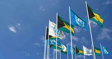 Bahamas et uni nations, ONU drapeaux agitant ensemble dans le ciel, sans couture boucle dans vent, espace sur la gauche côté pour conception ou information, 3d le rendu video