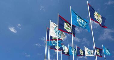 Belize et uni nations, ONU drapeaux agitant ensemble dans le ciel, sans couture boucle dans vent, espace sur la gauche côté pour conception ou information, 3d le rendu video