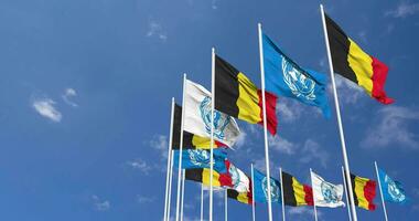 Belgique et uni nations, ONU drapeaux agitant ensemble dans le ciel, sans couture boucle dans vent, espace sur la gauche côté pour conception ou information, 3d le rendu video