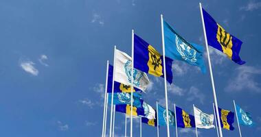 Barbados and United Nations, UN Flags Waving Together in the Sky, Seamless Loop in Wind, Space on Left Side for Design or Information, 3D Rendering video