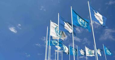 Antarctica and United Nations, UN Flags Waving Together in the Sky, Seamless Loop in Wind, Space on Left Side for Design or Information, 3D Rendering video