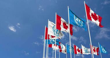 Canada and United Nations, UN Flags Waving Together in the Sky, Seamless Loop in Wind, Space on Left Side for Design or Information, 3D Rendering video