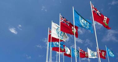 Bermuda and United Nations, UN Flags Waving Together in the Sky, Seamless Loop in Wind, Space on Left Side for Design or Information, 3D Rendering video