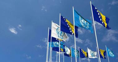 Bosnia and Herzegovina and United Nations, UN Flags Waving Together in the Sky, Seamless Loop in Wind, Space on Left Side for Design or Information, 3D Rendering video