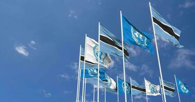 le botswana et uni nations, ONU drapeaux agitant ensemble dans le ciel, sans couture boucle dans vent, espace sur la gauche côté pour conception ou information, 3d le rendu video