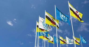 brunei et uni nations, ONU drapeaux agitant ensemble dans le ciel, sans couture boucle dans vent, espace sur la gauche côté pour conception ou information, 3d le rendu video