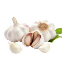 AI generated Garlic with transparent background. png