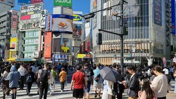 shibuya, Japan Aan oktober 4, 2023. drukte van mensen, beide inheems Japans en toeristen, wandelen aan de overkant de Shibuya door elkaar haspelen kruispunt, een zebra kruispunt welke is beroemd in Japan omdat het is heel druk. video