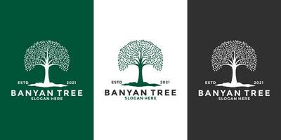 bundle banyan tree logo design template vintage style vector