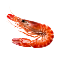 AI generated Tiger shrimp on a transparent background. png