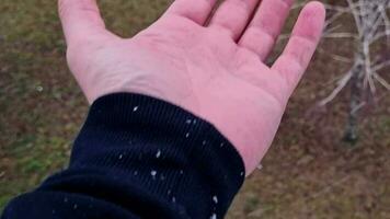 Slow motion of the first snow. Man extending hand towards it from the window. Concept video