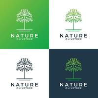 olive tree logo design template for your business spa, resort, health etc vector