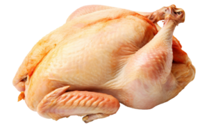 AI generated Raw chicken isolated on a transparent background. png